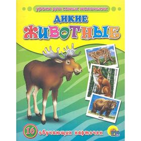 

Дикие животные. 16 обучающих карточек