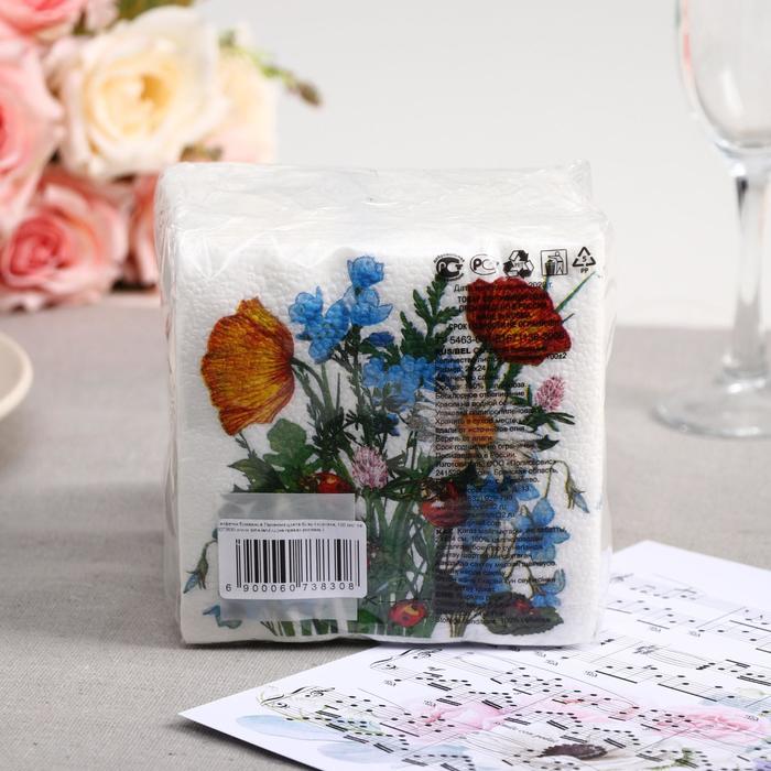 

Салфетки бумажные «Гармноия цвета. Божья коровка», 100 шт.