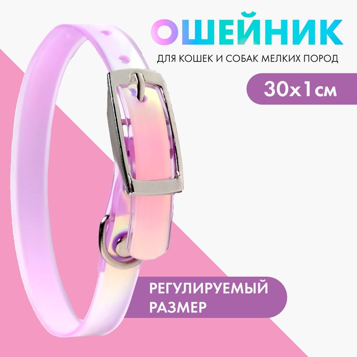 Ошейник для собак и кошек с фастексом Неон 30 х 1 см 119₽