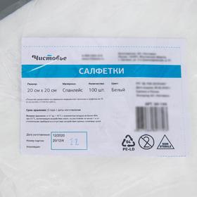 

Салфетка одноразовая Чистовье, 20×20 см, 40 г/ м², спанлейс, 100 шт/уп, цвет белый