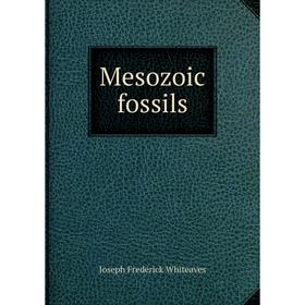 

Книга Mesozoic fossils