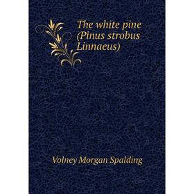 

Книга The white pine (Pinus strobus Linnaeus)