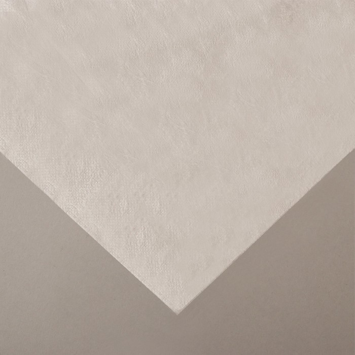 Материал укрывной, 10 × 3.2 м, плотность 17, с УФ-стабилизатором, белый, «Агротекс»