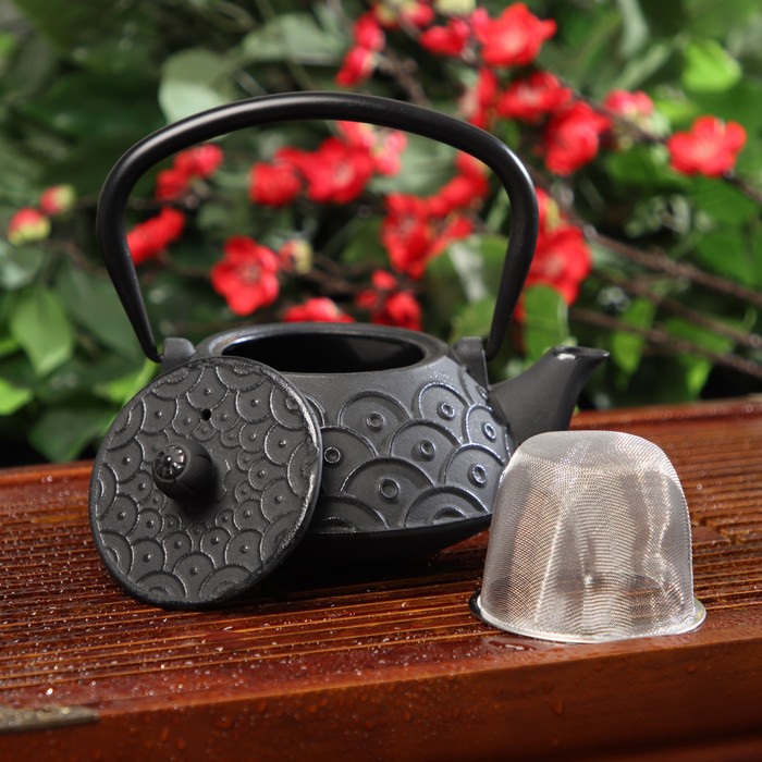 Чайник с ситом 900 мл "Джана", цвет черный