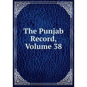 

Книга The Punjab Record, Volume 38