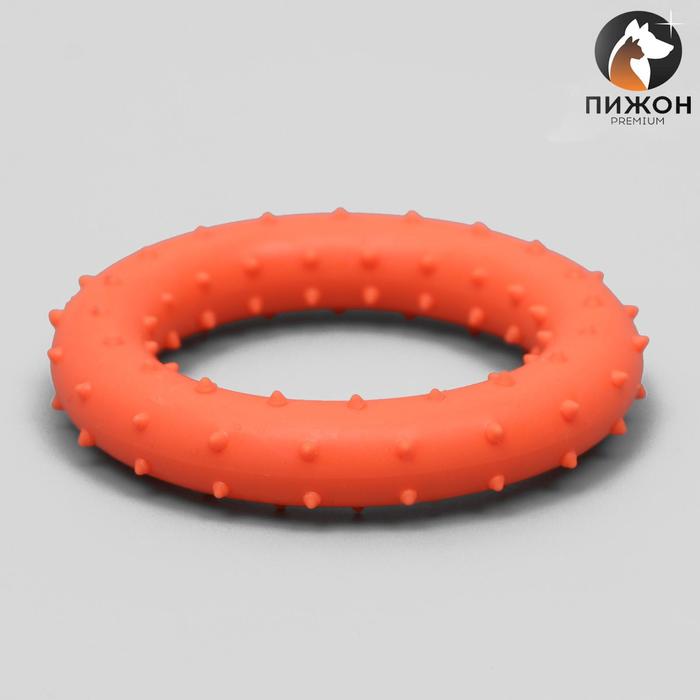 фото Игрушка жевательная суперпрочная "кольцо", 8 см, микс цветов пижон