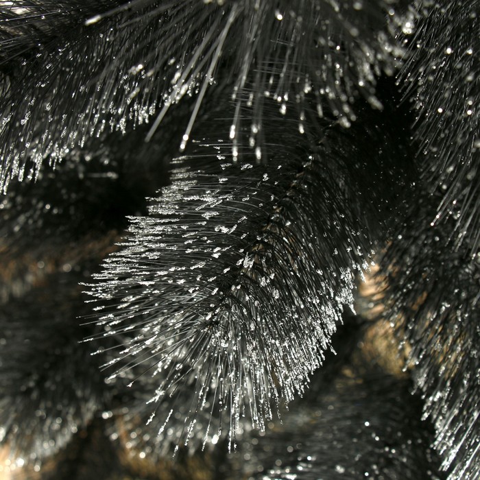 Кедр черн/серебро 150 см, d игл 10 см, d нижнего яруса 88 см, 152 ветки, металл подставка