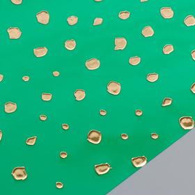 

Ацетатный лист с фольгированием "Golden Maxi Drops Green" 21х30 см
