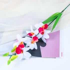 Цветы искусственные орхидея Дендробиум 70 см белая Ош