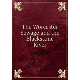 

Книга The Worcester Sewage and the Blackstone River