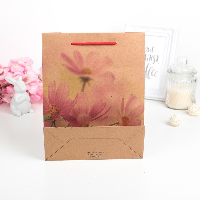 Пакет крафт "Космея", 19 х 8 х 25 см