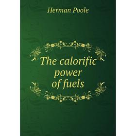 

Книга The calorific power of fuels
