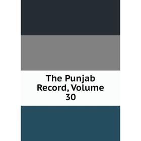 

Книга The Punjab Record, Volume 30