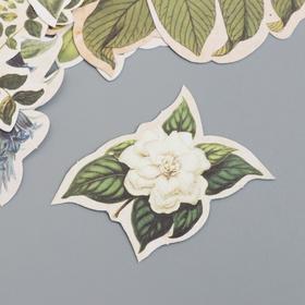 

Набор высечек "Botany summer" 58шт