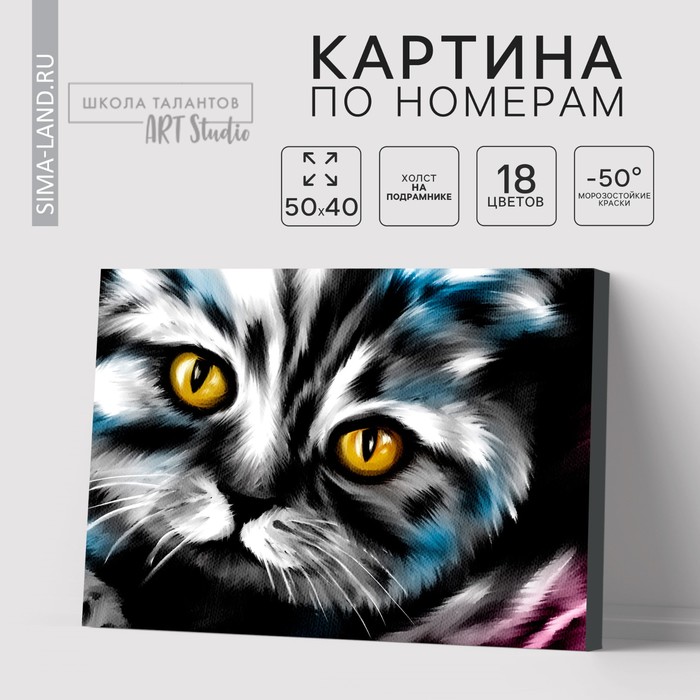 

Картина по номерам на холсте с подрамником «Котик», 40 х 50 см