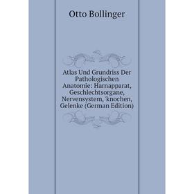 

Книга Atlas Und Grundriss Der Pathologischen Anatomie: Harnapparat, Geschlechtsorgane, Nervensystem, 'knochen, Gelenke (German Edition)