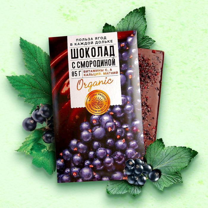Шоколад молочный «Польза ягод» со смородиной 85 г.