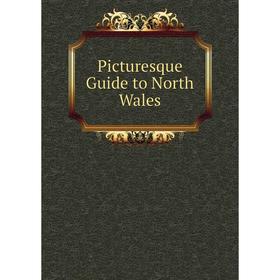 

Книга Picturesque Guide to North Wales