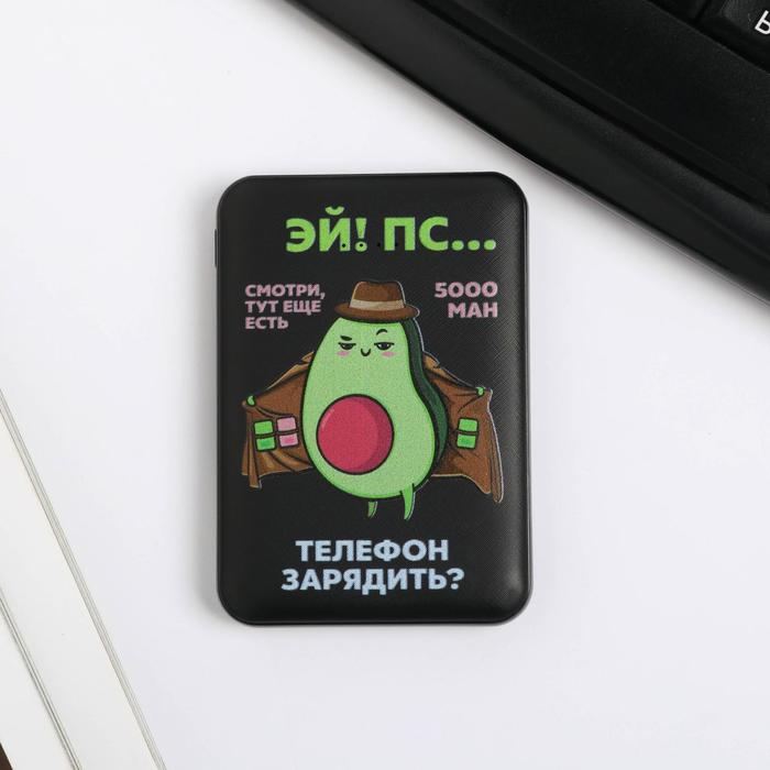 

Внешний аккумулятор «Авокадо», 5000 mAh, 6,3 х 9,5 см