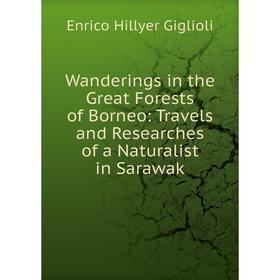 

Книга Wanderings in the Great Forests of Borneo: Travels and Researches of a Naturalist in Sarawak