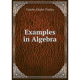 

Книга Examples in Algebra