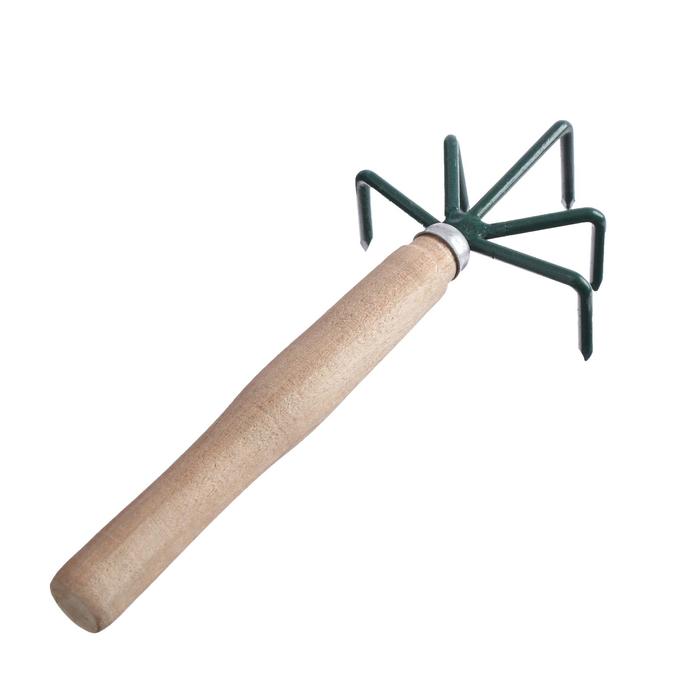 фото Рыхлитель, длина 25 см, 5 зубцов, деревянная ручка, р-5 м