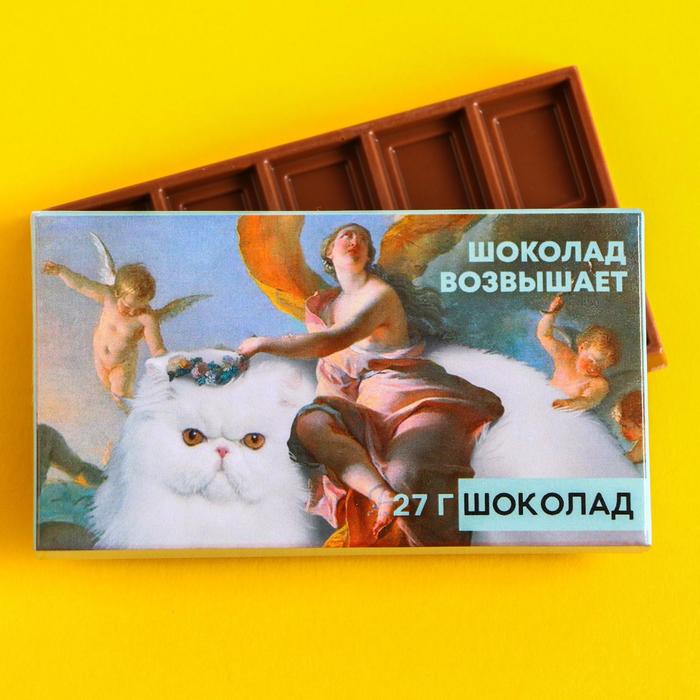 

УЦЕНКА Шоколад молочный «Шоколад возвышает», 27 г.