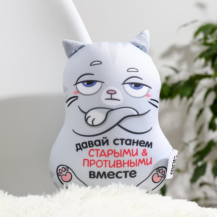 

Игрушка-антистресс «Давай станем старыми и противными вместе»