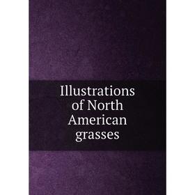 

Книга Illustrations of North American grasses