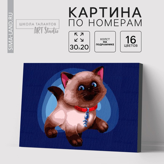 Картина по номерам на холсте с подрамником «Сиамский котёнок» 20х30 см картина по номерам на холсте с подрамником сиамский котёнок 20х30 см