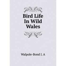 

Книга Bird Life In Wild Wales