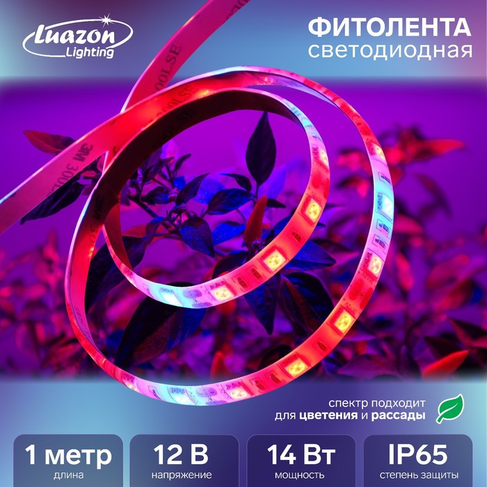 Светодиодная лента для растений Luazon Lighting, 1м, 60SMD5050/м, 14Вт/м, IP65, 220 В