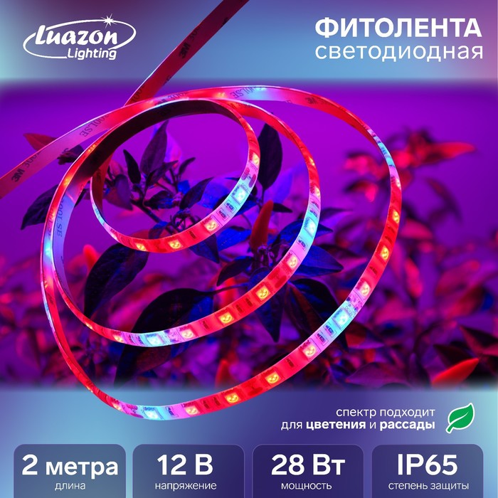 

Фитолента светодиодная Luazon, 12 В, SMD5050, 2 м, IP65, 28 Вт, 60 LED/м, биколорная