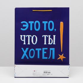 

Пакет подарочный "Это то, что ты хотел!", 33 х 42,5 х 10 см