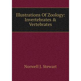 

Книга Illustrations Of Zoology: Invertebrates & Vertebrates