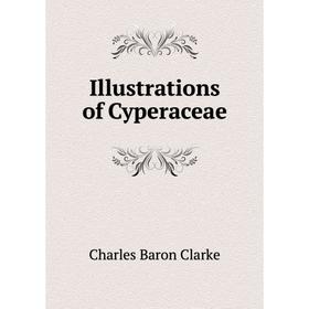 

Книга Illustrations of Cyperaceae