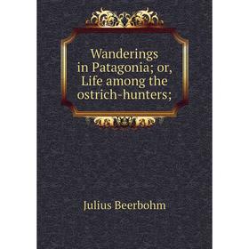 

Книга Wanderings in Patagonia; or, Life among the ostrich-hunters