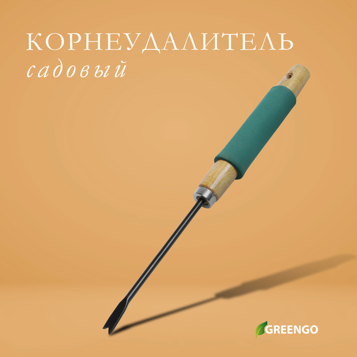 фото Корнеудалитель, длина 34 см, деревянная ручка с поролоном greengo