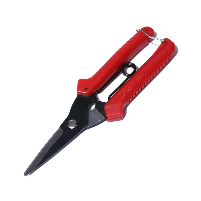 Ножницы садовые, 8" (20 см), нержавеющие лезвия, пластиковые ручки