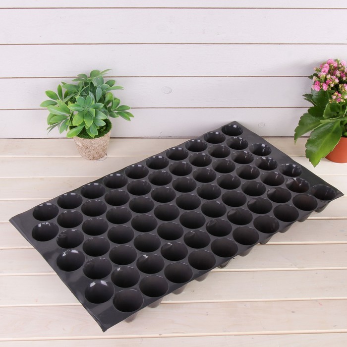 Кассета для рассады, 70 ячеек по 75 мл