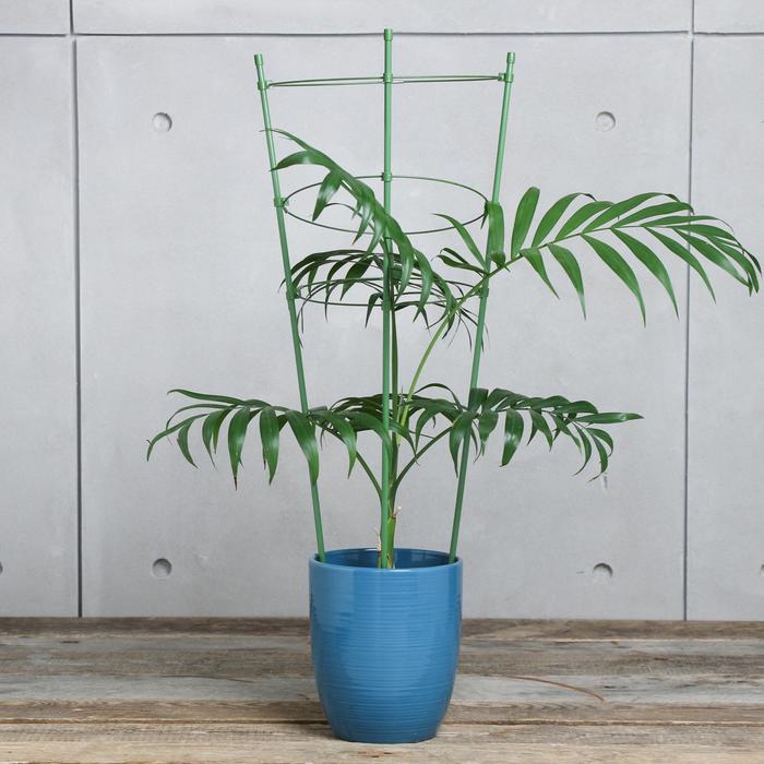

Кустодержатель, d = 18,5–20–22 см, h = 60 см, 3 кольца, металл, зелёный, Greengo