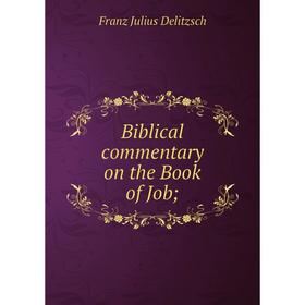 

Книга Biblical commentary on the Book of Job