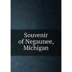 

Книга Souvenir of Negaunee, Michigan