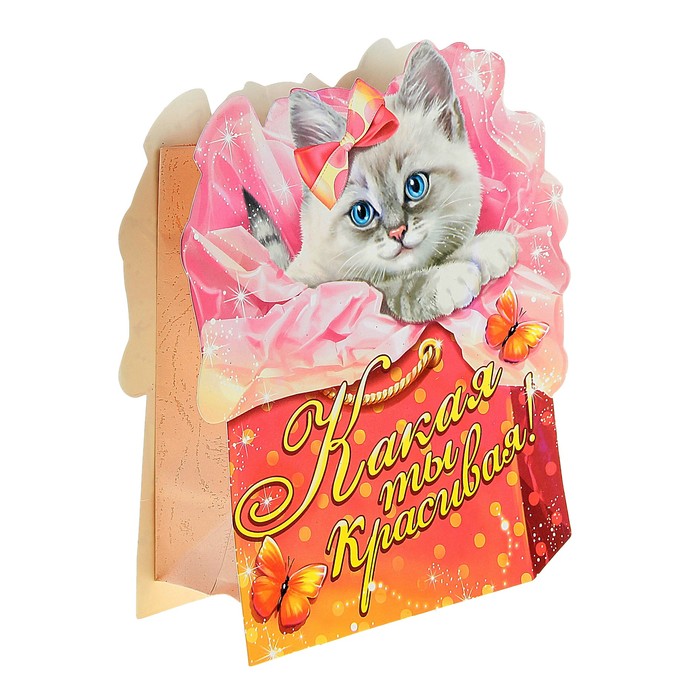 Пакет–открытка «Котёнок»