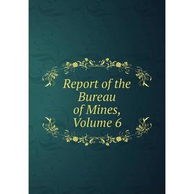 

Книга Report of the Bureau of Mines, Volume 6