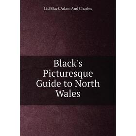 

Книга Black's Picturesque Guide to North Wales