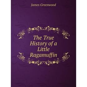 

Книга The True History of a Little Ragamuffin