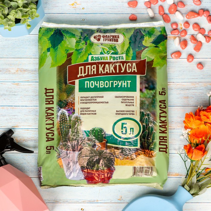 Кактус Интернет Магазин Духов Отзывы