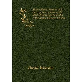 

Книга Alpine Plants: Figures and Descriptions of Some of the Most Striking and Beautiful of the Alpine Flowers, Volume 1