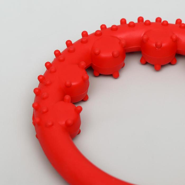 Игрушка жевательная "Тренажер настойчивости", TPR, 18 см, микс цветов